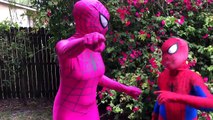 Человек-паук и замороженные elsa жвачки вызов! Супергерой удовольствие в реальной жизни человек-паук против ВЭ