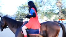 Batman Batgirl Vs Superman Vs SuperGirl Riding Horse In Real Life | Funny SuperHero In Real Life