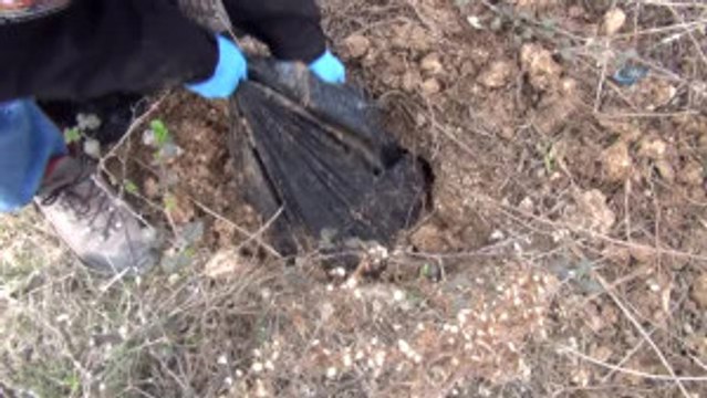 Tarsus'ta Toprağa Gömülü Halde Patlayıcı ve Silah Ele Geçirildi