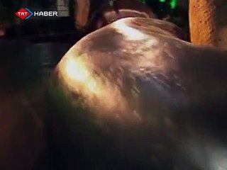 60 Milyon Yıllık Yılan Hala Korkutuyor