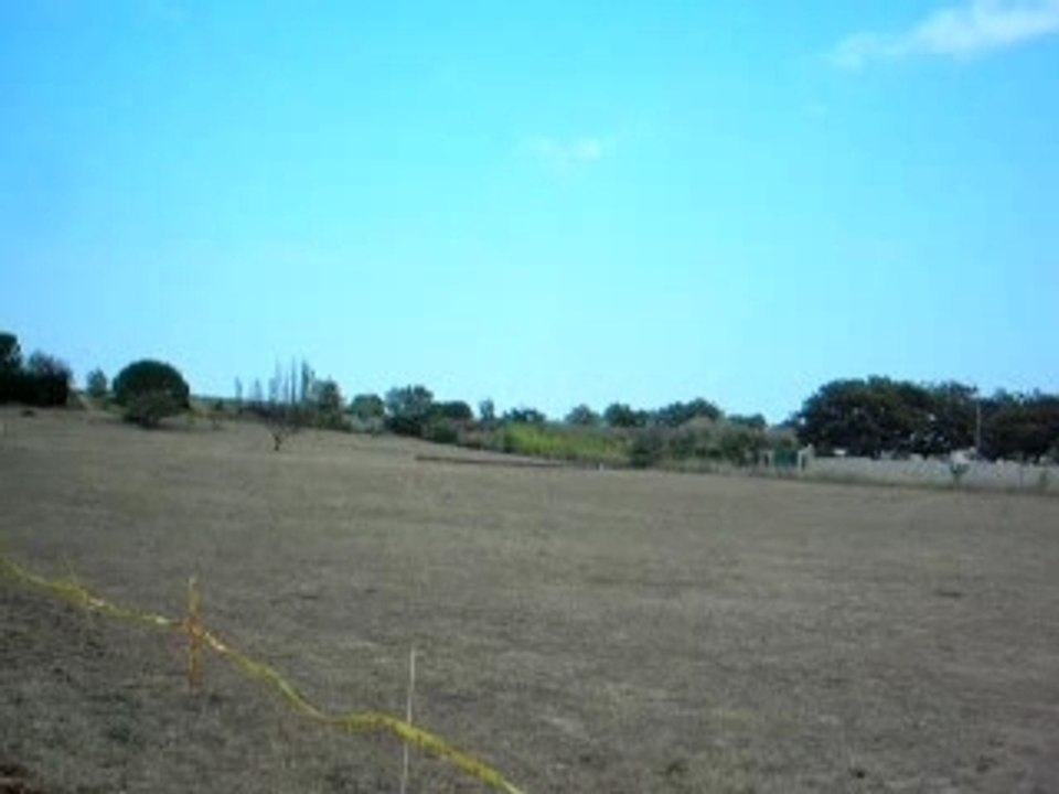 PVL CALY