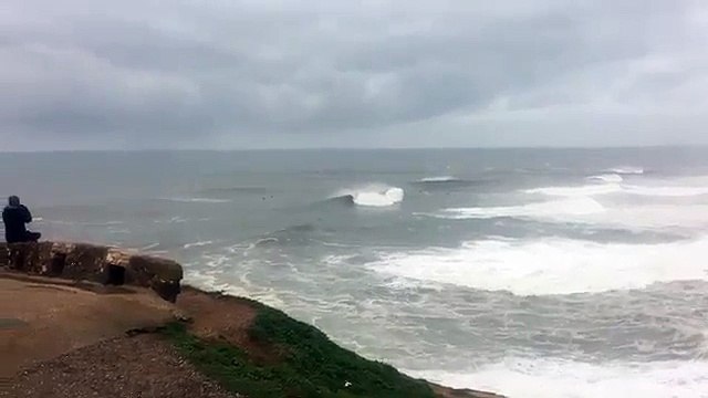 Pedro Scooby levando uma vaca em Nazaré