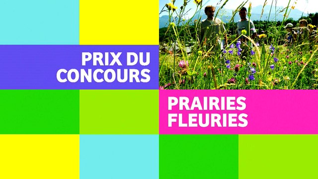 Stéphane Le Foll au concours des prairies fleuries