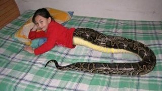 Chuyện lạ Việt Nam - Cô bé nửa người nửa rắn