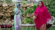 Watch Rishta Anjana Sa Episode 147 - on Ary Digital in High Quality 2nd March 2017