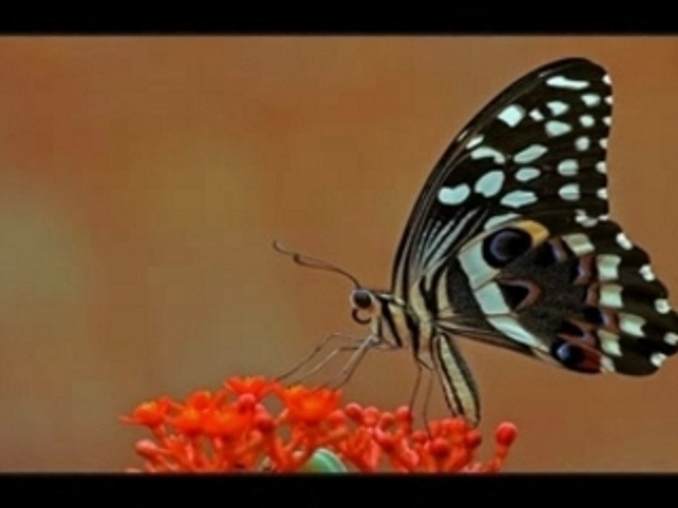 Natur ist doch was schoenes