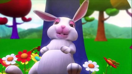 Turminha Paraíso Desenho infantil Animais Cartoon Kids