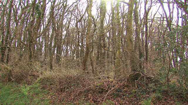 JT breton du jeudi 2 mars 2017 : ces charges locatives qui explosent