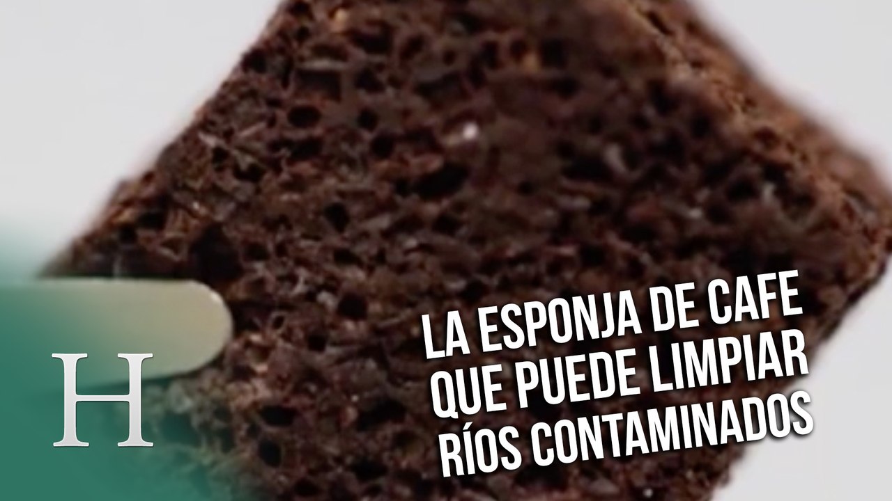 La "esponja" de café que limpia agua contaminada