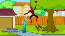 Spiderman Vs Frozen Elsa - Spidermans Fart Prank l Finger Family Compilation and More !