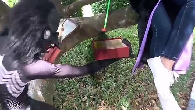 Zombie Frozen Elsa vs Spiderman Joker, Black Spiderman Maleficent Fun Superheroes movie in