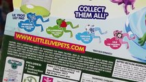 Poco Vivir Mascotas Ranas y Lily Pad Frog Race Challenge Niños de Juguete de Revisión y Juguete Freak