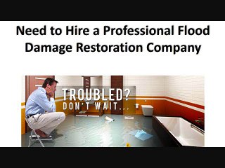 Need To Hire A Professional Flood Damage Restoration Company