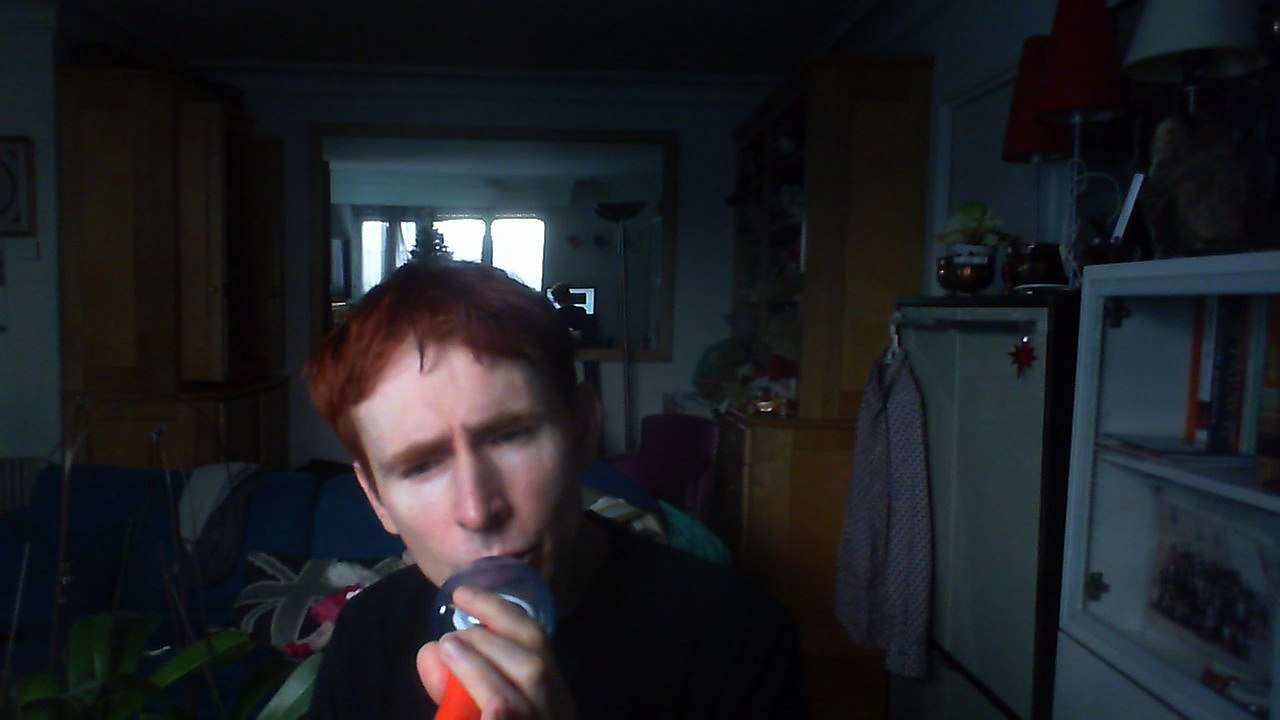 Wiwi égratigne "follow me down to the red oak tree" de James Vincent McMorrow