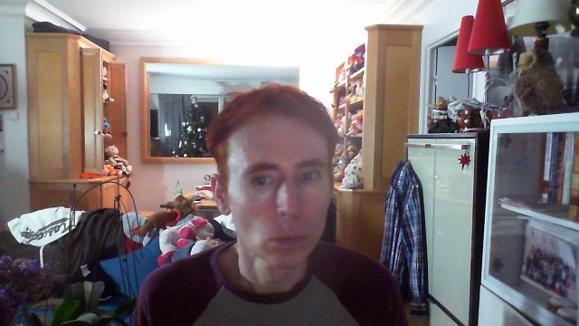 Wiwi égratigne exotic de Priyanka Chopra & Pitbull