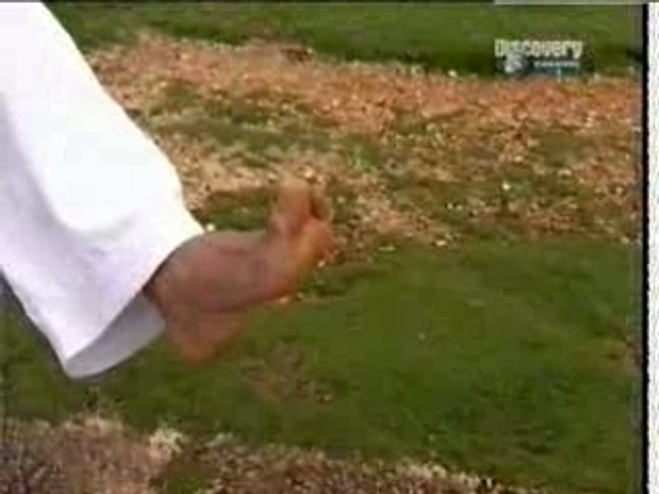 Kyohide Shinjo 8 Dan - Goju Ryu