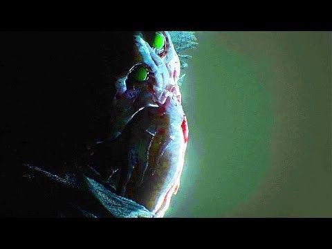 CALL OF CTHULHU Bande Annonce Cinématique (PS4 / Xbox One / PC)