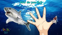 Piranha Shark Whale Sea Animals Finger Family Songs | Fish Dolphin Octopus Children Nurser