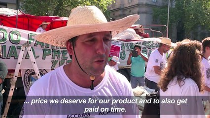 Argentine farmers protest by giving away yerba mate