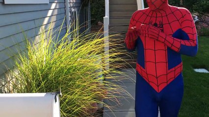 Anna & Belle Ruin Elsas Dress. Ripped In Half! Fun Superhero Kids In Real Life In 4K