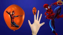 Spiderman Globos Dedo de la Familia de la Canción de Aprender los Colores con Spider-man. Canciones infantiles para tod