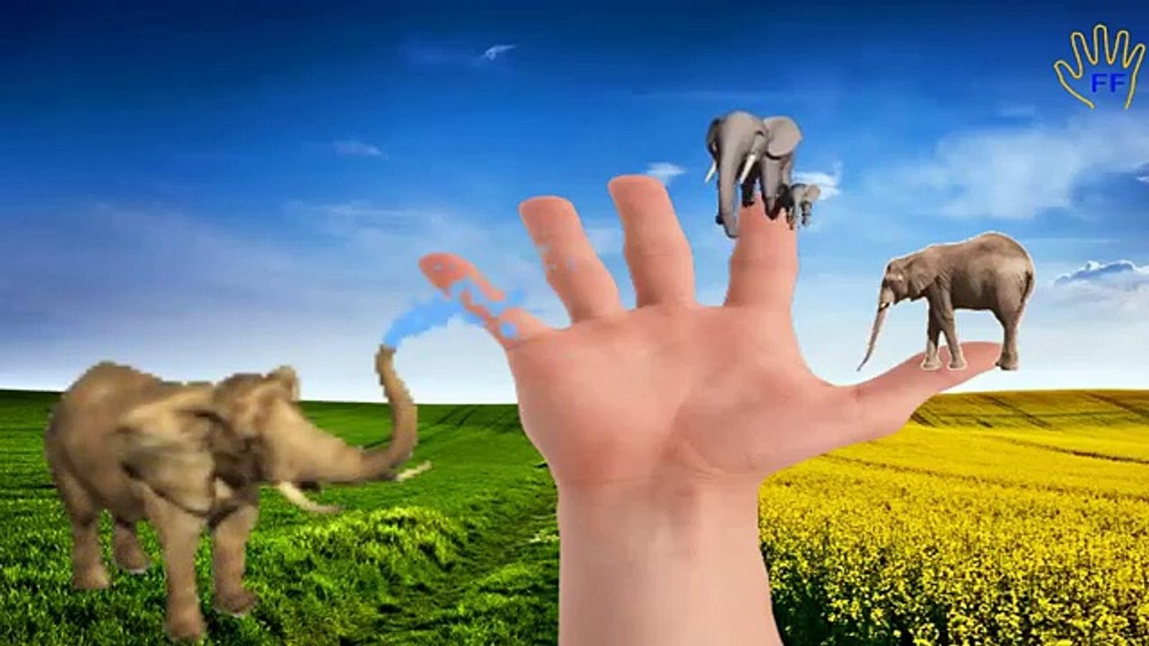 Finger Family Elephant | Animal Finger Family Songs | Elephant Nursery Rhymes For Children