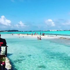 Lovely Nature - Aquarium of San Andrés, Colombia