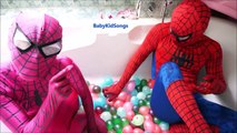 Pink Spidergirl spiderman Lot Wet balloons Learn Colours Balloon Finger Nursery Songs Collection