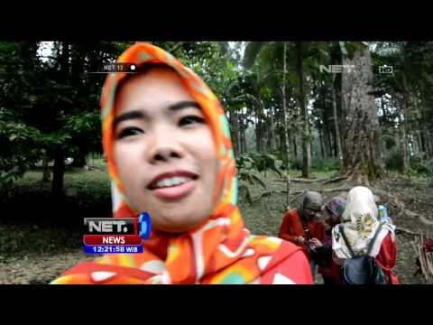 Taman Bungan Batu Raden, Jawa Tengah Rusak Ulah Pengunjung - NET12