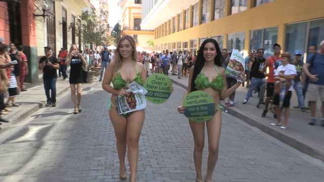Con bikinis verdes y un mensaje vegano las damas lechuga paralizan La Habana
