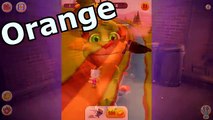 Learn Colors With Talking Tom 2017 HD Funny Animals Compilation