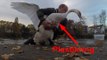 Man Dramatically Removes Plastic Ring From Swan's Body