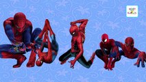 Finger Family Spiderman cartoon Family Songs | Spiderman Daddy Finger | Nursery Rhymes for Children