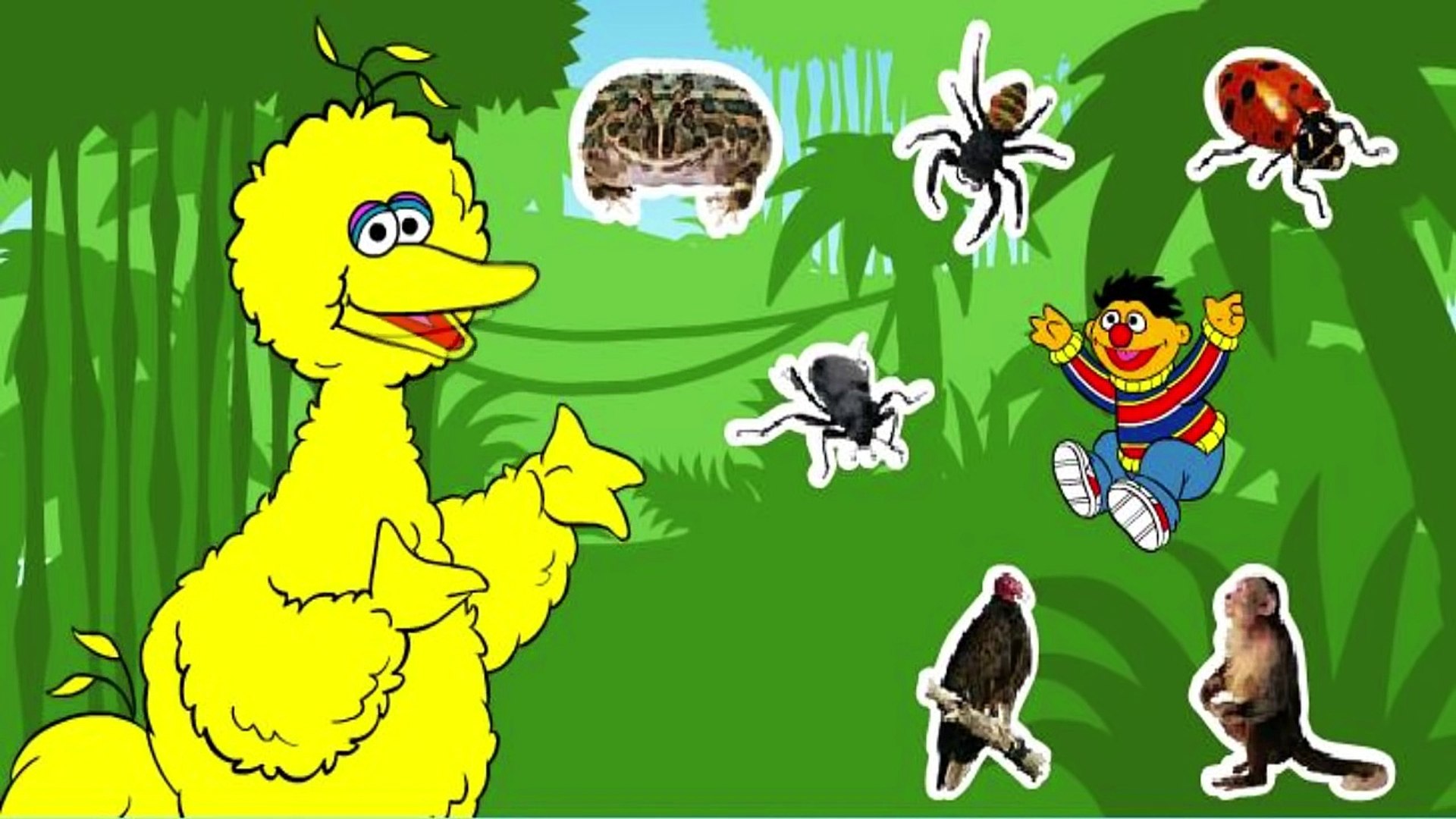 Sesame Street Journey To Ernie - Dailymotion Video