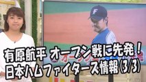日本ハム 有原航平 オープン戦に先発！日本ハムファイターズ情報 2017.3.3 プロ野球