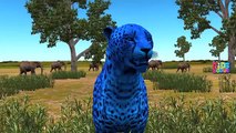 Colors Gorilla Dinosaurs Tiger Finger Family Songs For Babies Nursery Rhymes Collection
