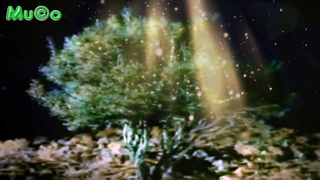 Erkan Mutlu - Uyan Ey Gözlerim (Tasavvuf Müzikleri HD) Mu©o