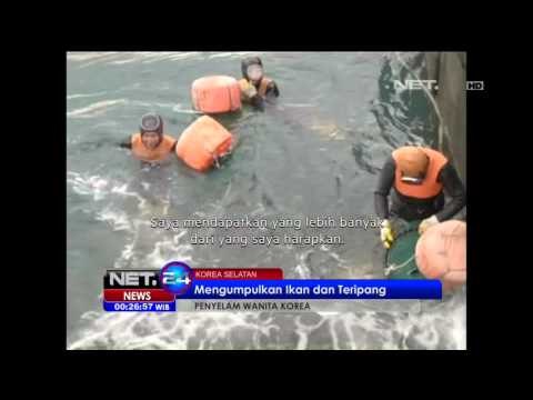 Penyelam Wanita Korea Mampu Menahan Nafas Lebih dari 2 Menit - NET24