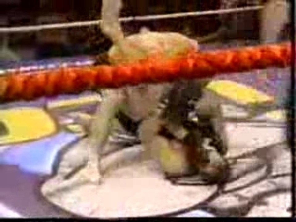 Steve vigneault vs Pain peters