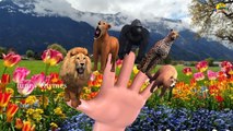 Lion Finger Family Nursery Children 3d English Rhymes | Animated Finger kids songs