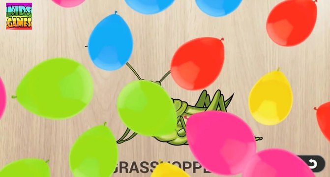 Животные головоломка для детей: учим животных. Животные на английском языке.Учебное видео для детей.