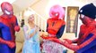 Frozen Elsa Pink Spidergirl with Spiderbaby Twins vs Spiderman - Superhero Fun In Real Lif