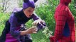 Frozen Elsa’s POOL SURPRISE! w  Spiderman Maleficent Pink Spidergirl Joker! Superheroes Episode 50