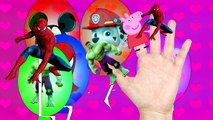 Paw Patrol Peppa pig and Spiderman Finger Family song for kids collection Nursery Rhymes lyrics