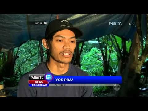 Jam Tangan dari Limbah Kayu - NET12