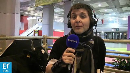 Cédric Briand : "Fine retournera au paturage dès lundi pour continuer à produire du lait"