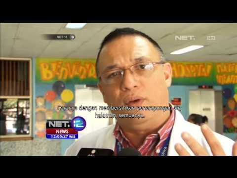 Wabah Zika Meluas Pemerintah Kolombia Lakukan Pengasapan - NET12
