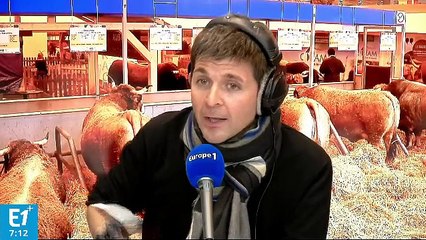 Politique agricole commune : pourquoi est-elle aussi décriée ?