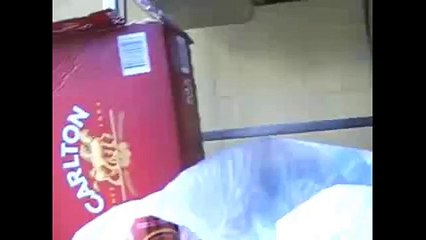 Quokka   The Happiest Animal in the World