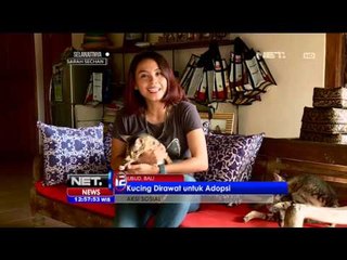 Download Video: Villa Kitty, Surga Pecinta Kucing di Ubud, Bali - NET12